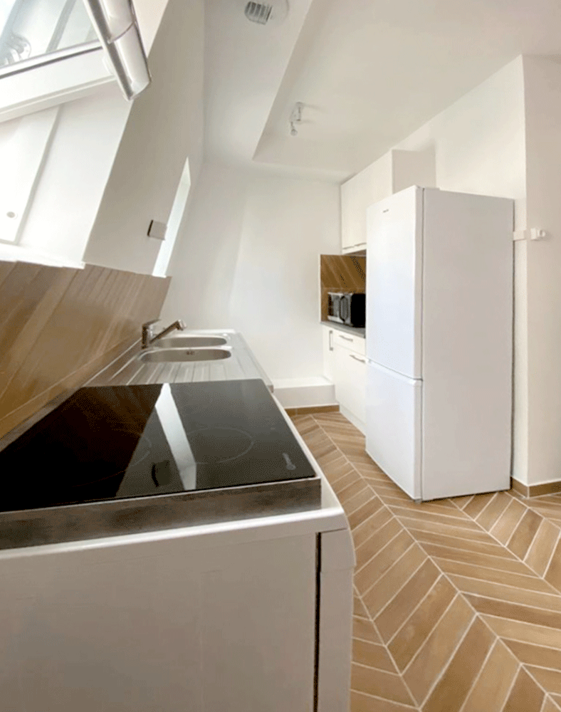 renovation appartement paris mirabeau 2
