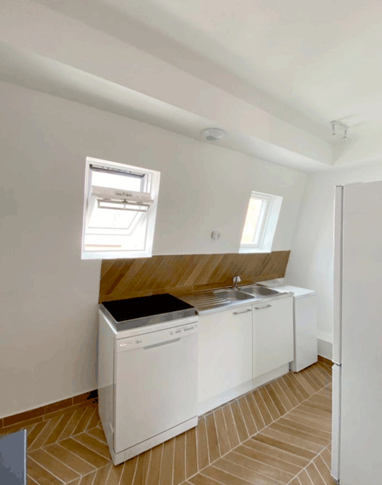 renovation appartement paris mirabeau 3